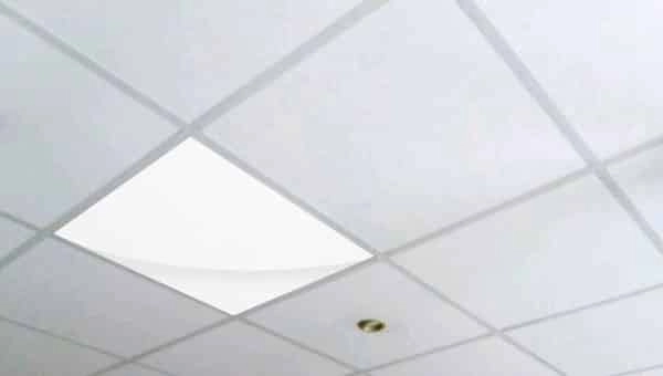 Infrarotheizung RAABoTherm® 350 Watt – Bild 3