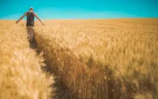 Infrarot Hallenheizungen in der Landwirtschaft